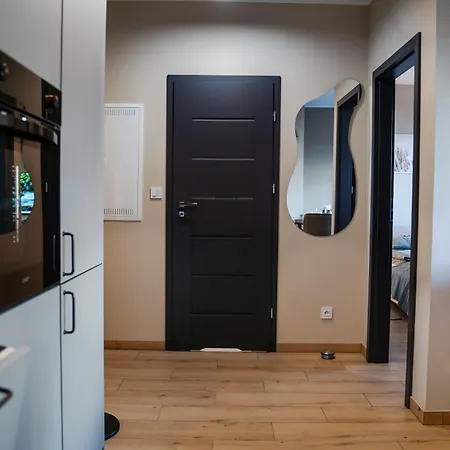 公寓 Jezyk-exclusive Free Parking 波兹南